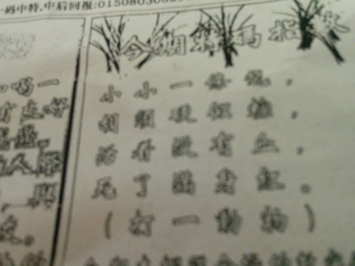 猜谜游戏，刘伯温与十二生肖之神秘关联——揭秘刘伯温打一肖的奥秘，刘伯温与十二生肖之谜，揭秘神秘关联与生肖奥秘猜谜游戏