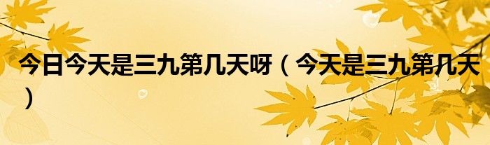 今天是三九的第几天？全面解读三九时间，全面解读三九时间，今天是三九的第几天？