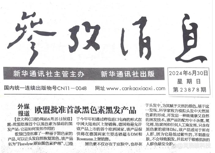 参考消息角度区手机版订阅，便捷获取新闻资讯的利器，手机版订阅消息角度区，便捷获取新闻资讯的必备利器