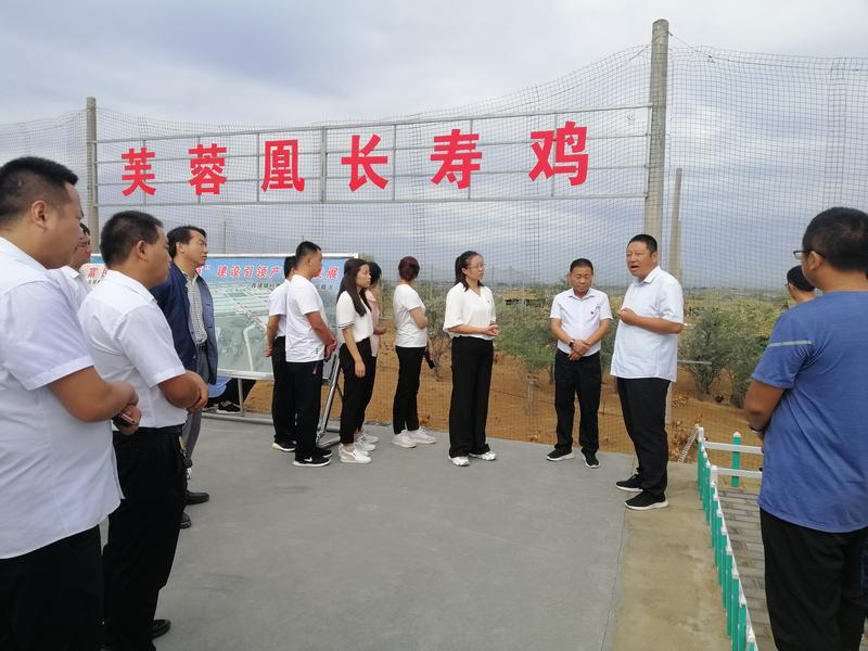 湖南农业大学人民武装部官网SEO文章，湖南农业大学人民武装部官网SEO优化指南