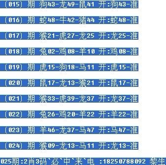 一肖二码中的奥秘与SEO策略探讨，一肖二码奥秘与SEO策略解析