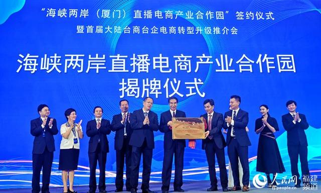 我看海峡两岸新闻，深度解析与独特洞察，海峡两岸新闻深度解析与独特洞察观点分享