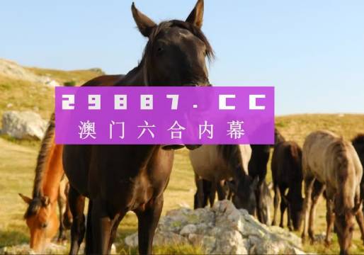 澳门管家婆一肖一码精准预测——揭秘精准度背后的秘密，澳门管家婆一肖一码精准预测揭秘，预测背后的秘密与准确度探讨