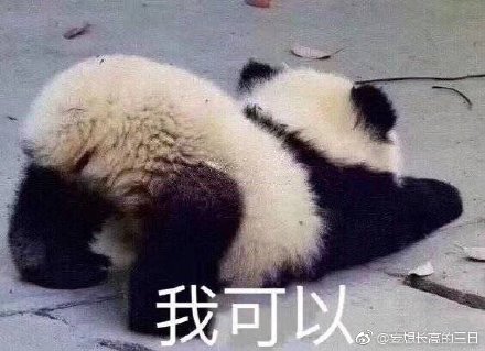 香港 第508页
