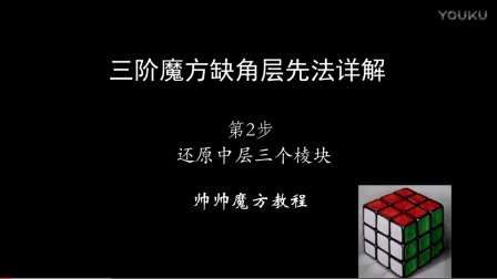 揭秘刘伯温平特一肖与ZJWAPPW的神秘关联——探寻背后的SEO奥秘，揭秘刘伯温平特一肖与ZJWAPPW的神秘关联，背后的SEO策略探究