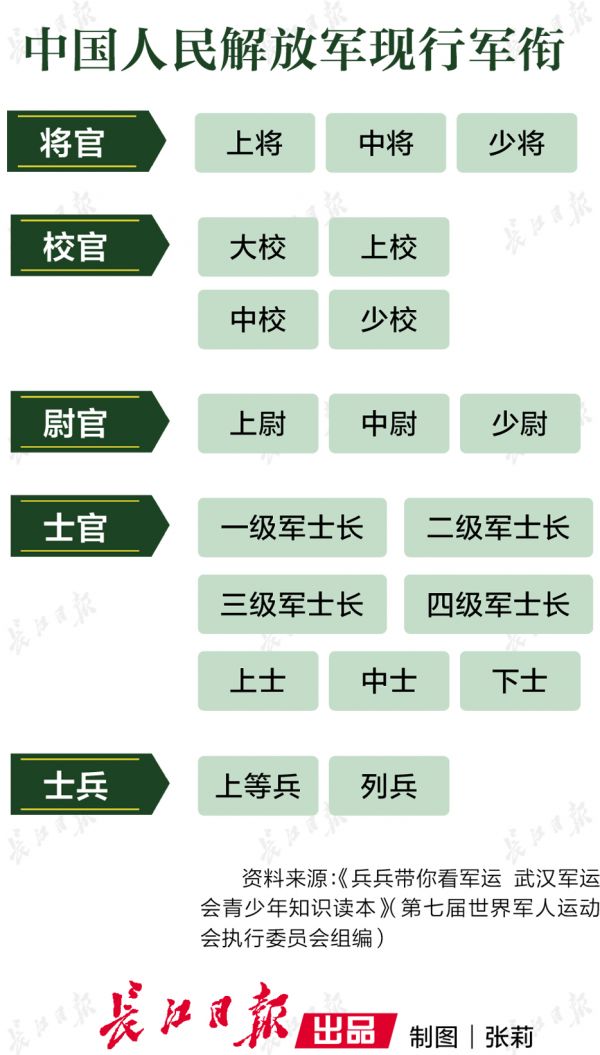概况/概览
