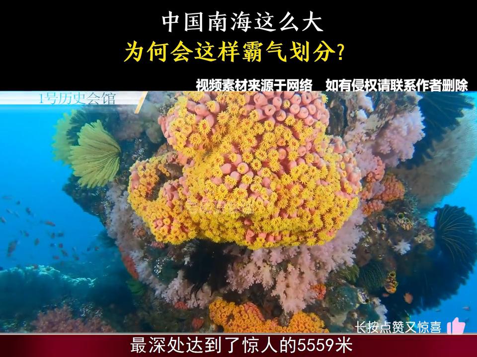 南海是否全部是中国的领海？解析相关争议与事实，南海领土争议与事实解析，全部领海归属中国？