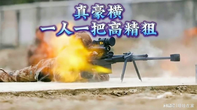 关于高精狙的意思——深度解析，高精狙深度解析与探讨，从概念到应用全解析