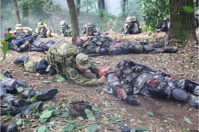 中国特种兵英文缩写的奥秘与力量，中国特种兵英文缩写的奥秘与力量探索