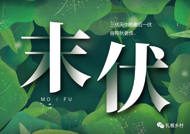 末伏