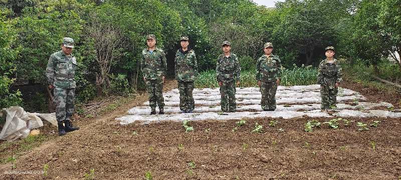 国防军事农业农村，探索国家安全与农业发展的紧密关联，国家安全与农业发展的紧密关联，国防军事农业农村探索