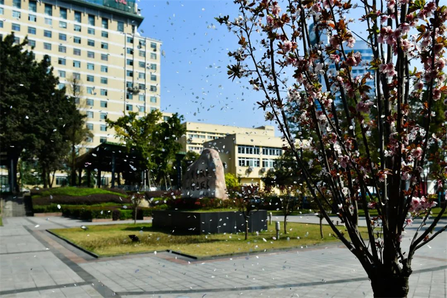 第三军医大学招生条件详解，第三军医大学招生条件全面解析