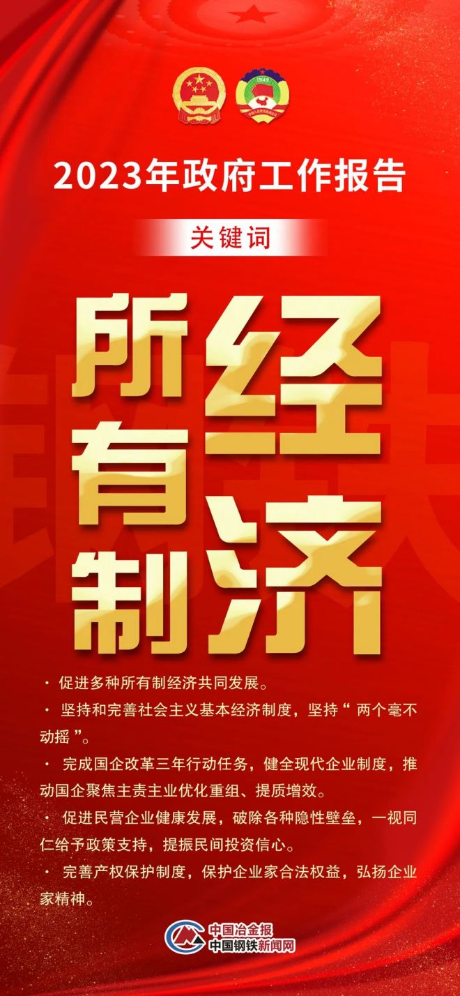 王中王010期指一生肖，揭秘背后的奥秘与策略，揭秘生肖奥秘与策略，王中王生肖预测指南（第010期）