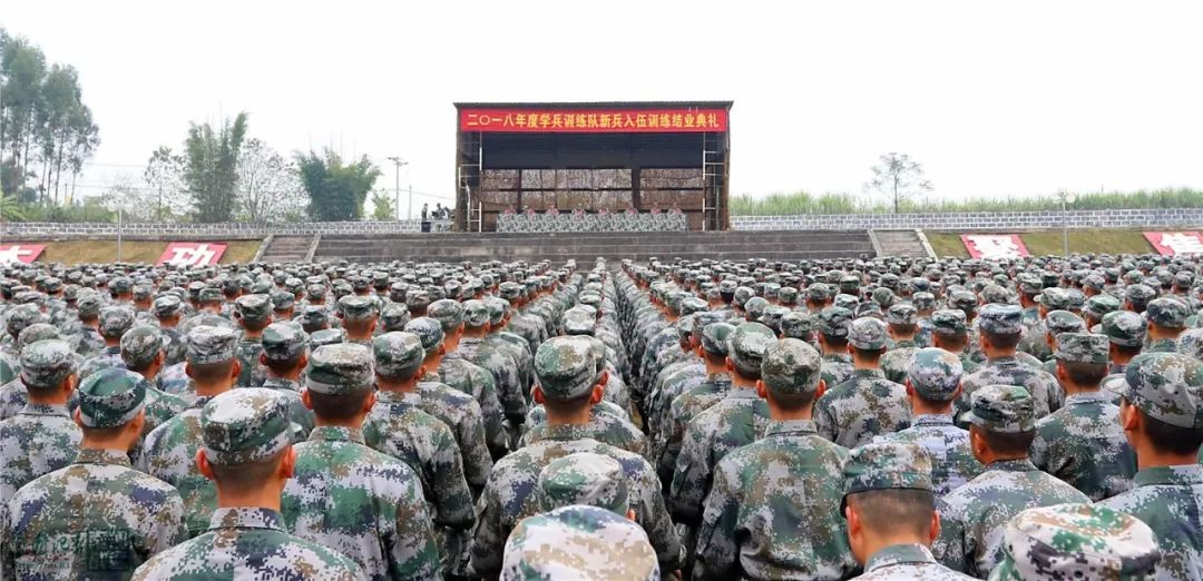 陆军新兵入伍训练科目详解，陆军新兵入伍训练科目详解概览