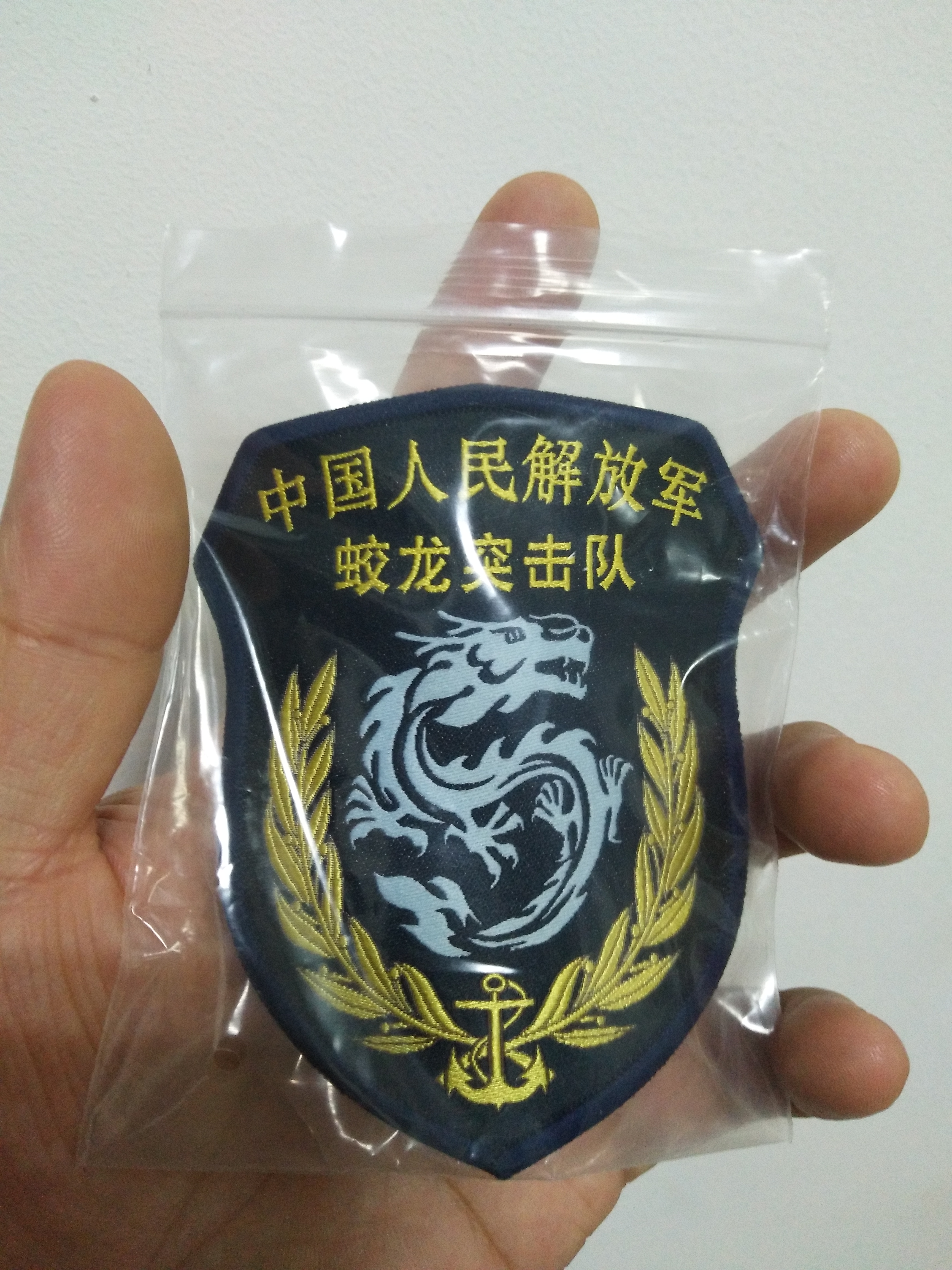 蛟龙突击队队标，探索其背后故事与象征意义，蛟龙突击队队标背后的故事与象征意义探索