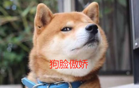 指南