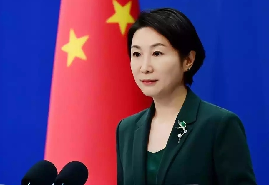 中央新闻发言人毛宁简历，中央新闻发言人毛宁的简历概述