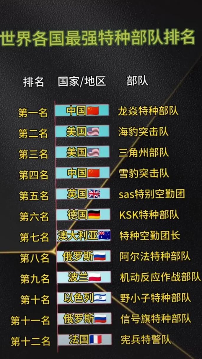 全球十大最厉害部队，深度解析其独特之处，全球十大顶尖部队深度解析，独特之处揭示其超凡实力