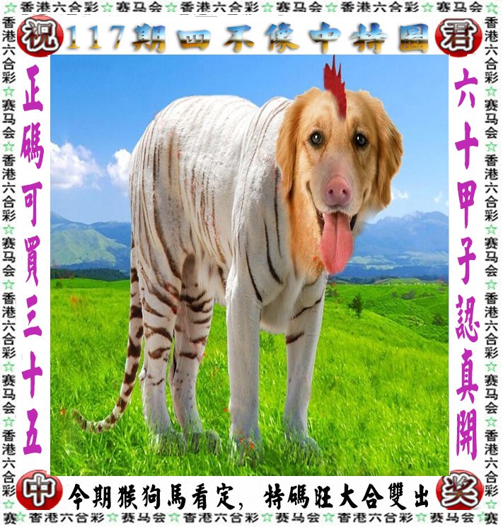 王中王四不像图一肖中，揭秘神秘文化符号背后的故事，揭秘神秘文化符号背后的故事，王中王四不像图一肖中探秘之旅