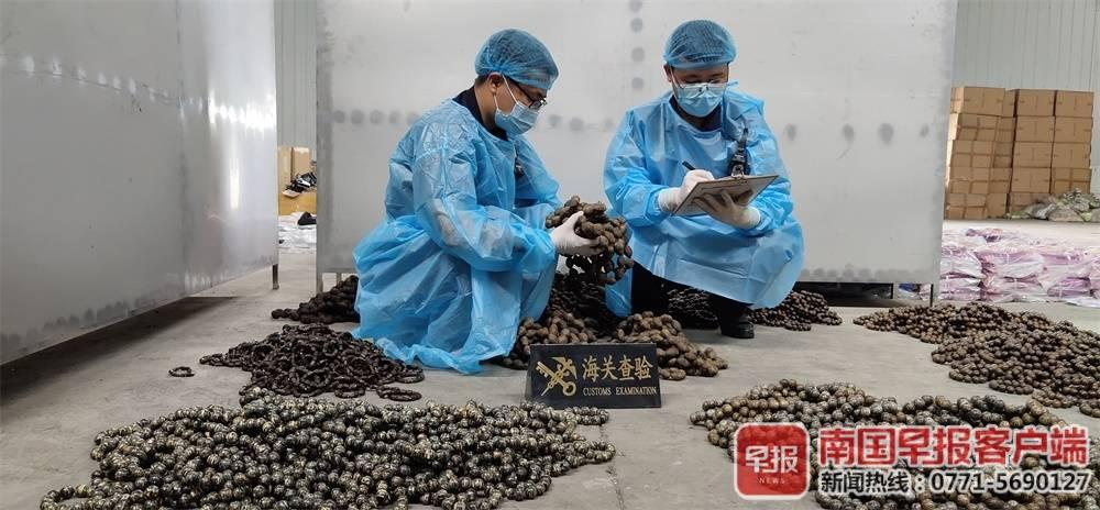 友谊关入境中国最新消息，全面解读入境政策与动态，友谊关入境中国最新动态解读，入境政策全面更新与动态分析