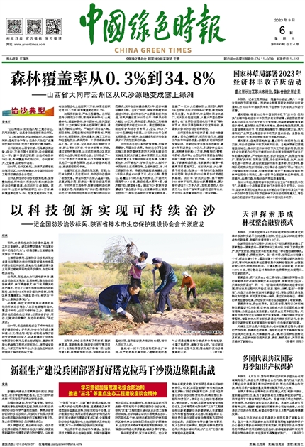 中国时报电子报，探索数字新闻领域的先驱，中国时报电子报，数字新闻领域的先驱探索者