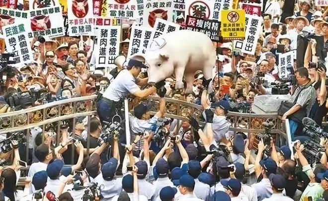 关于制裁台湾进口的一些思考，关于制裁台湾进口的思考与探讨