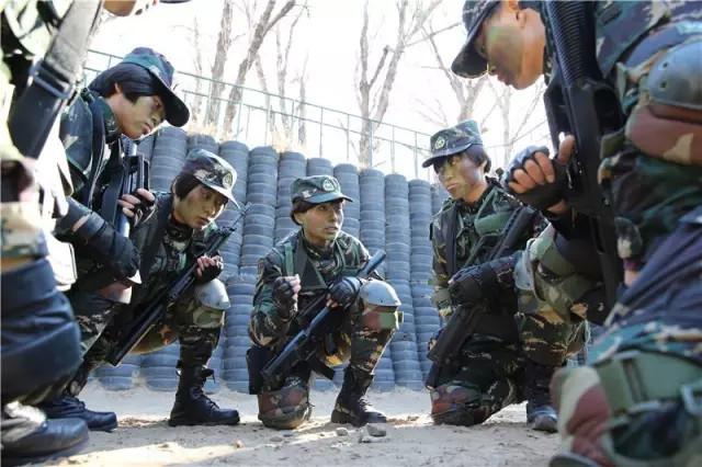当兵多久可以进特种部队，深度解析特种部队选拔标准与流程，深度解析，特种部队选拔标准与流程，当兵多久可进特种部队？