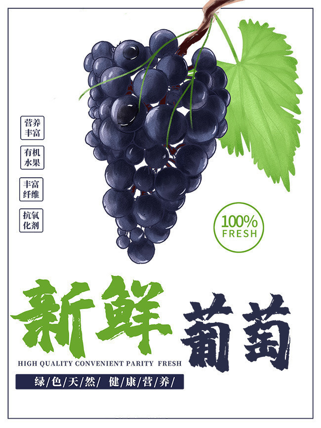 王中王葡萄新平特一肖，探索葡萄品种的魅力与独特之处，探索葡萄品种魅力与独特之处——王中王葡萄新平特一肖风采展示