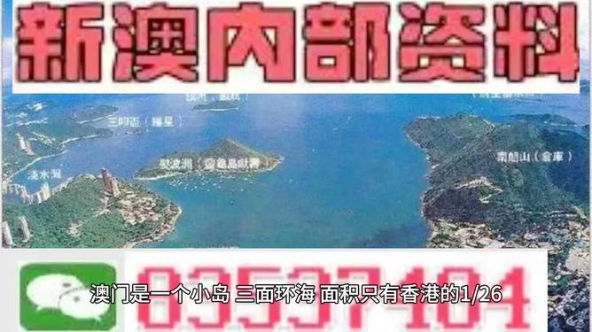 香港内部最精准免费资料，探索与揭秘，香港内部精准资料大揭秘，探索免费信息的奥秘