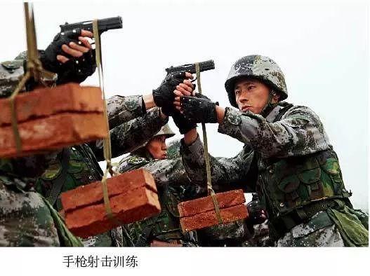 全球鹰尺寸详解，规格、设计与实用性分析，全球鹰尺寸详解，规格、设计与实用性全面剖析