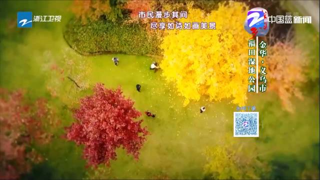今天央视特别节目点赞金华，一座充满活力与魅力的城市，央视特别节目聚焦金华，活力与魅力并存的魅力之城