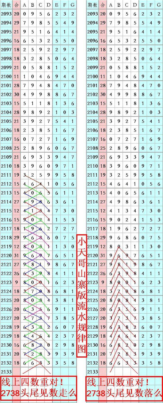 一肖平特王中王，揭秘生肖魅力与独特之处，揭秘生肖魅力与独特之处，一肖平特王中王解析