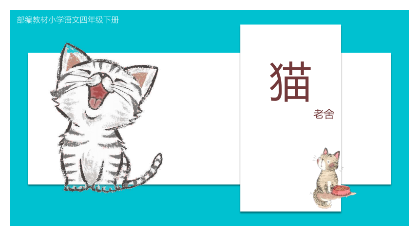新闻咨询 第285页