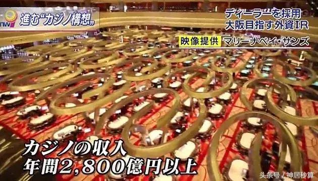 新澳门彩单双走势，探索彩票背后的秘密与策略，澳门彩票走势揭秘，单双数背后的秘密与策略探索