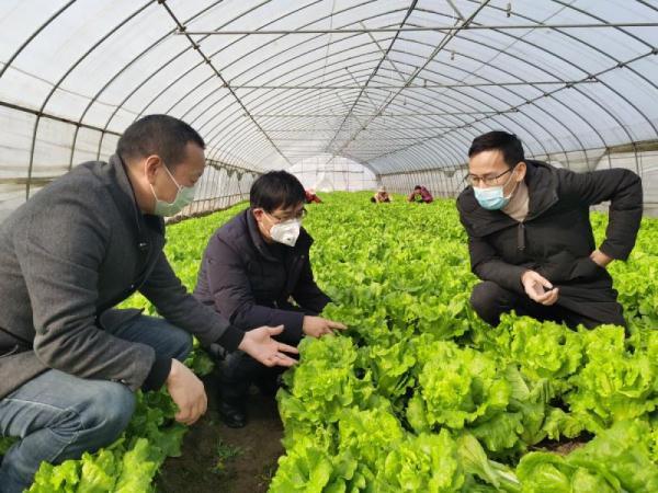 农业新时代风潮引领