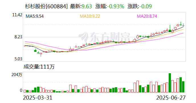 杉杉股份最新消息，引领行业变革，展望未来发展，杉杉股份引领行业变革，未来发展展望
