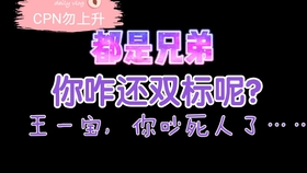 一肖二肖是什么意思——解析生肖文化中的深层含义，一肖二肖含义解析，探索生肖文化中的深层内涵