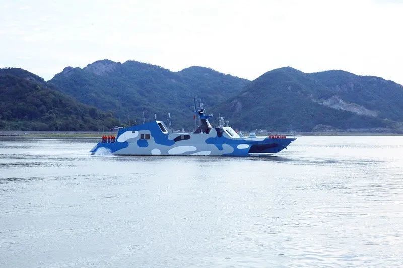 海军导弹快艇202大队，实力与荣耀的象征，海军导弹快艇202大队，实力与荣耀的典范