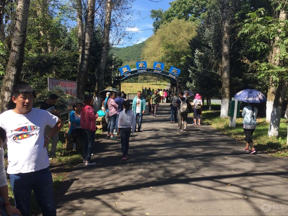 天涯论坛灵璧渔沟，深度解析与探索，天涯论坛灵璧渔沟深度探索与解析