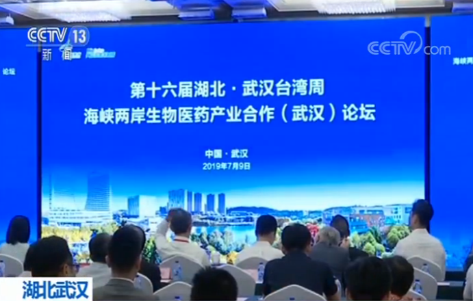 中央4台海峡两岸，深度解读与SEO优化策略，中央四台海峡两岸深度解读与SEO优化策略探讨
