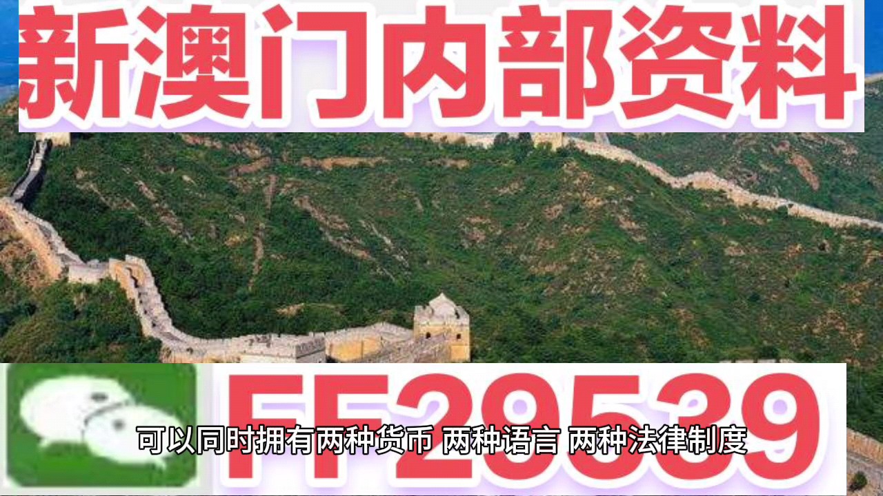澳门码今晚开奖直播，探索彩票开奖的奥秘与实时直播的魅力，澳门码今晚开奖直播，探索彩票奥秘，感受实时开奖魅力