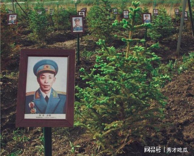 揭秘中国人民解放军第14军的历史与荣耀，1984年的辉煌篇章，中国人民解放军第14军历史与荣耀揭秘，1984年辉煌篇章回顾