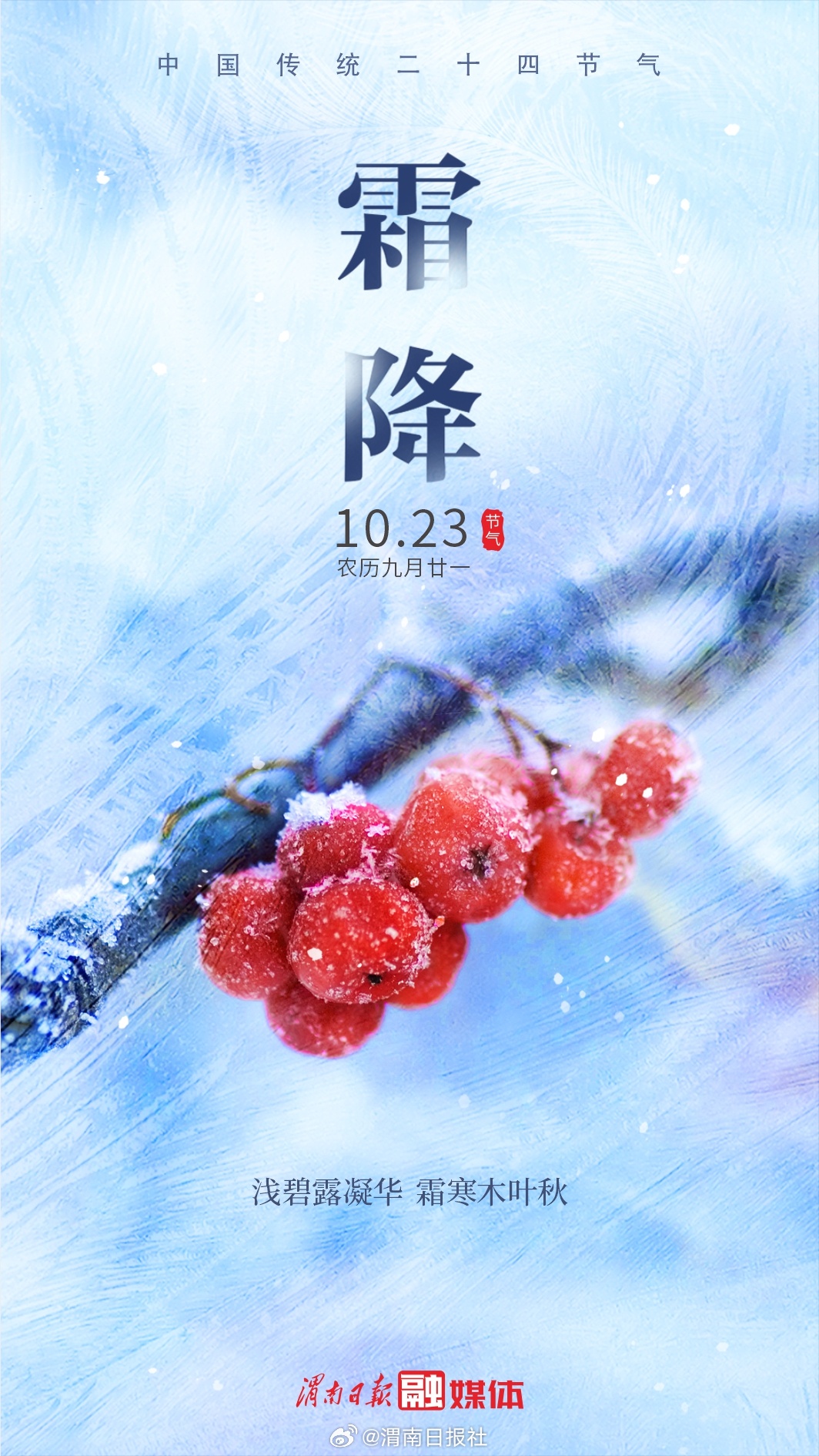 今天霜降，气候转变与生活的美好融合，今日霜降，气候转变下的美好生活融合体验