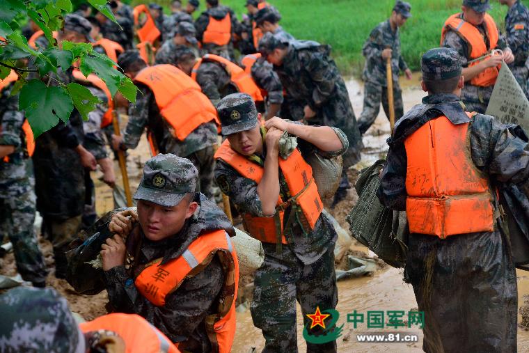 德国二战第12集团军，历史背景、角色与影响，德国二战第12集团军，历史背景、角色与深远影响