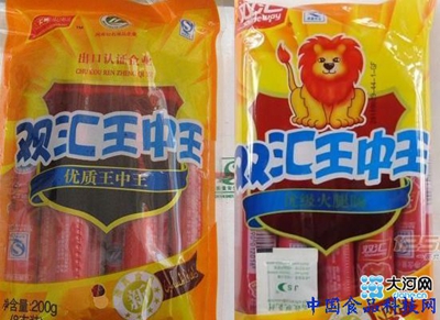 王中王资料大全，深度解析与全面概览，王中王资料大全，深度解析与全面概览指南