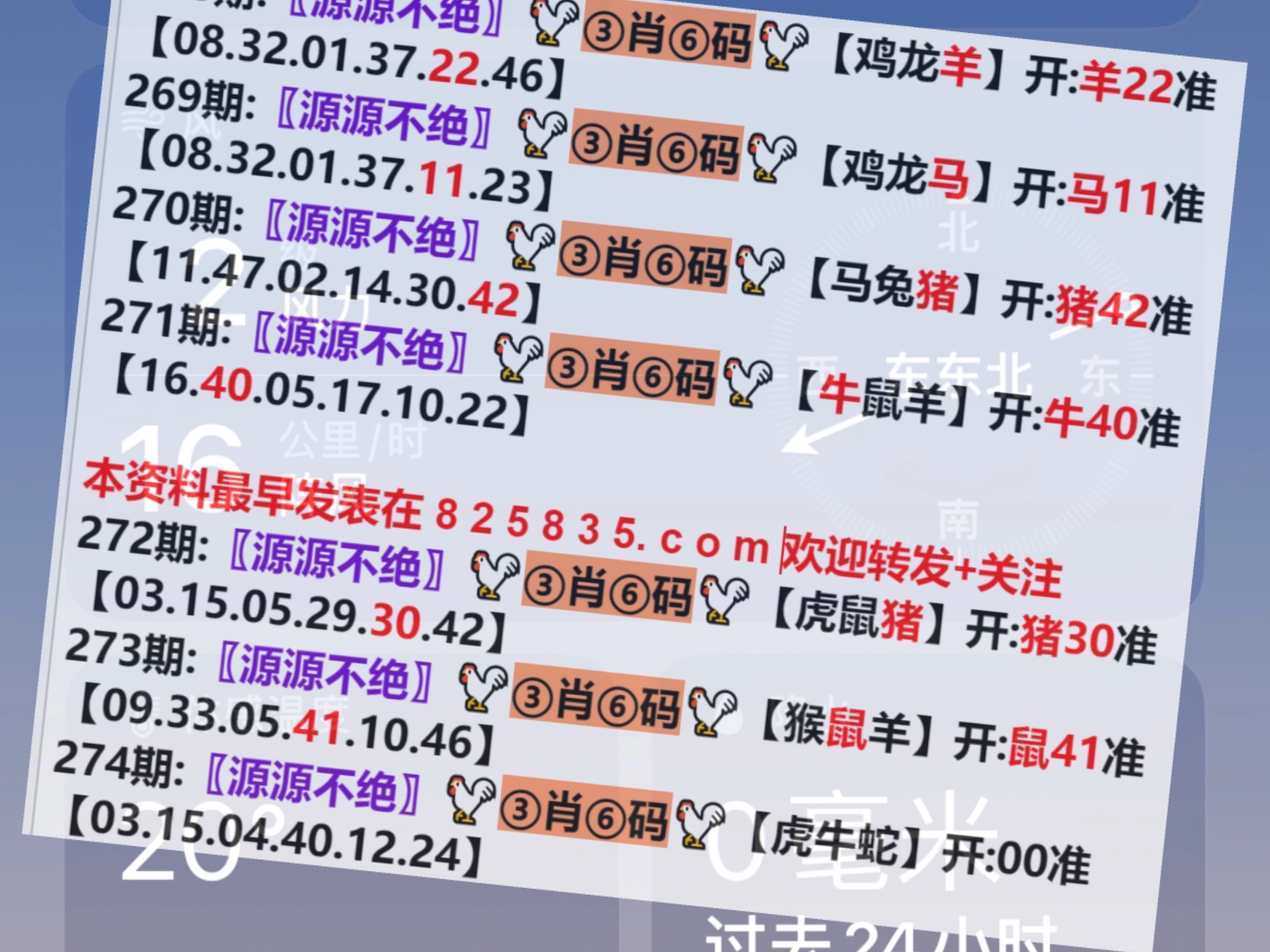 香港 第105页