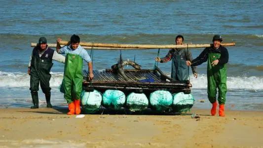 海军节上海，庆祝海军荣耀，展现海洋魅力，上海海军节庆典，荣耀海军，魅力海洋展风采