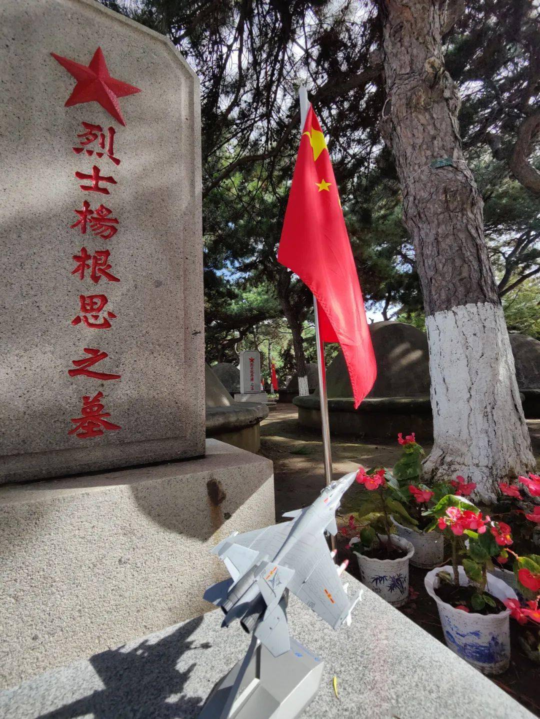 英雄树下留个影纪念抗美援朝，永恒的荣耀与民族精神，英雄树下永恒纪念，抗美援朝的荣耀与民族精神