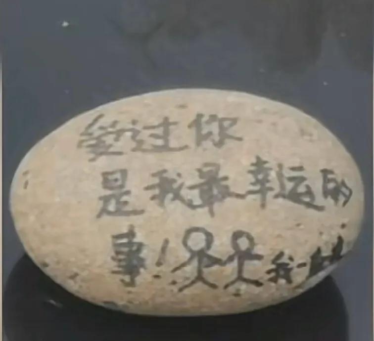 肖思远事件与鹅卵石，深度解析背后的故事，肖思远事件与鹅卵石，背后的故事深度解析