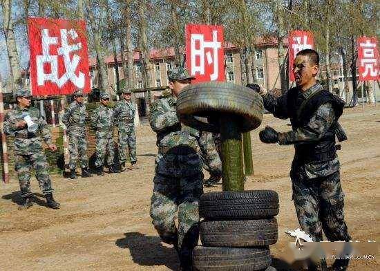 关于38集团军是陆军吗的全面解析，全面解析，38集团军是否属于陆军？